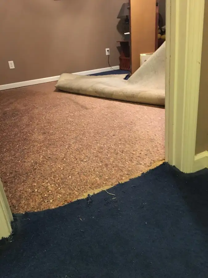 Carpet pad removal revealing water damage during Drying & Dehumidification in Hurricane