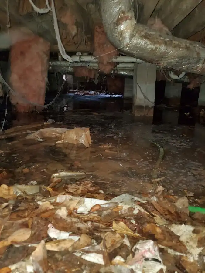 Crawl space flood assessment for Leak Detection & Repair in Hurricane